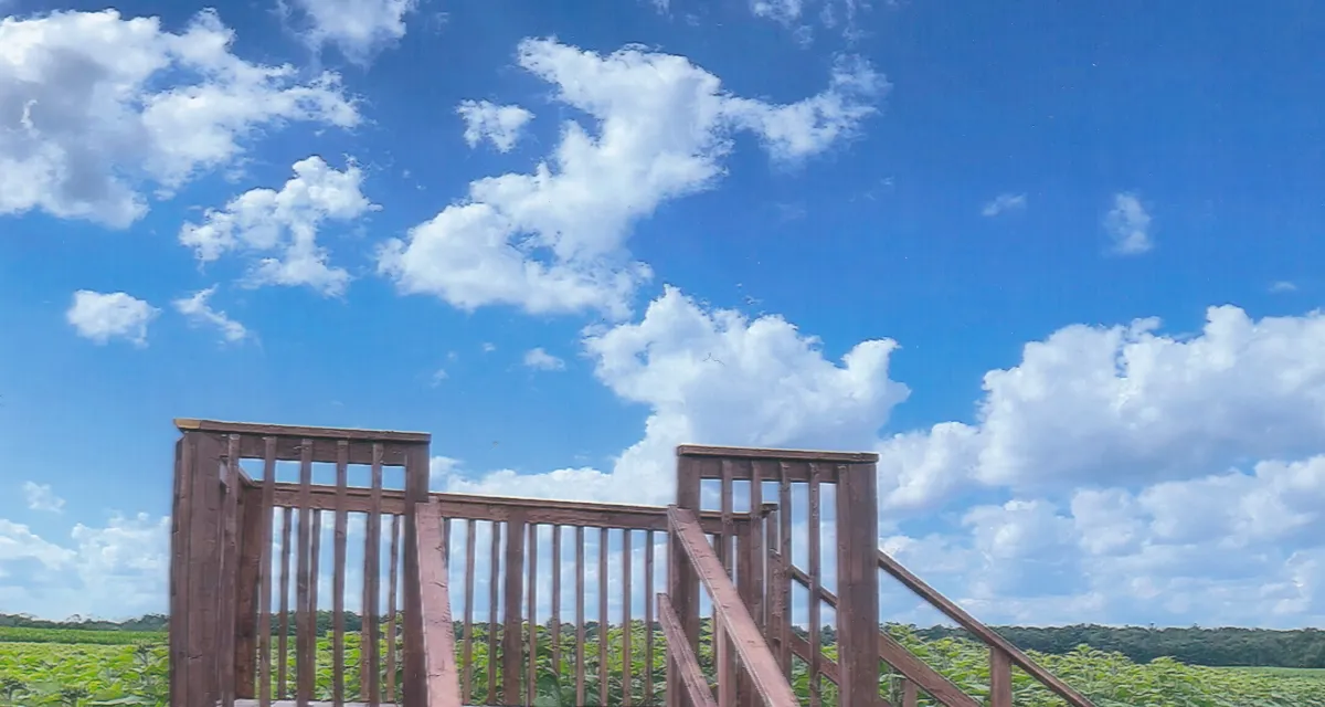 Custom deck build at Bragg Farm