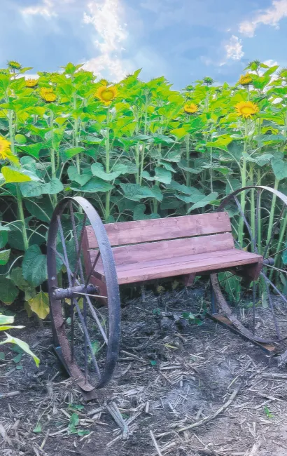 Custom stationary bench with wheels